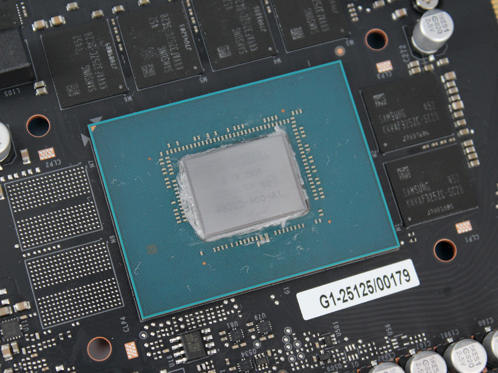 Die GB205-300-GPU in der Nahaufnahme.